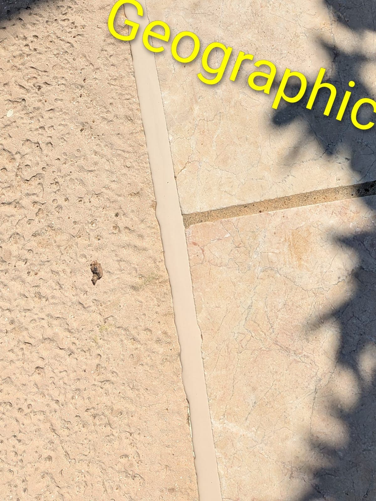 Sika Geographic Beige pool mastic sealant color example between travertine coping and textured concrete pool deck — smooth finish